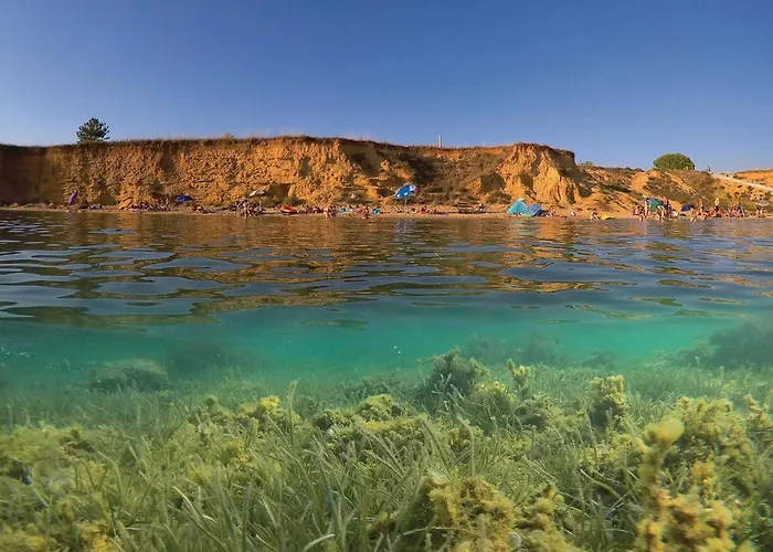 別荘 Sabunike ニン